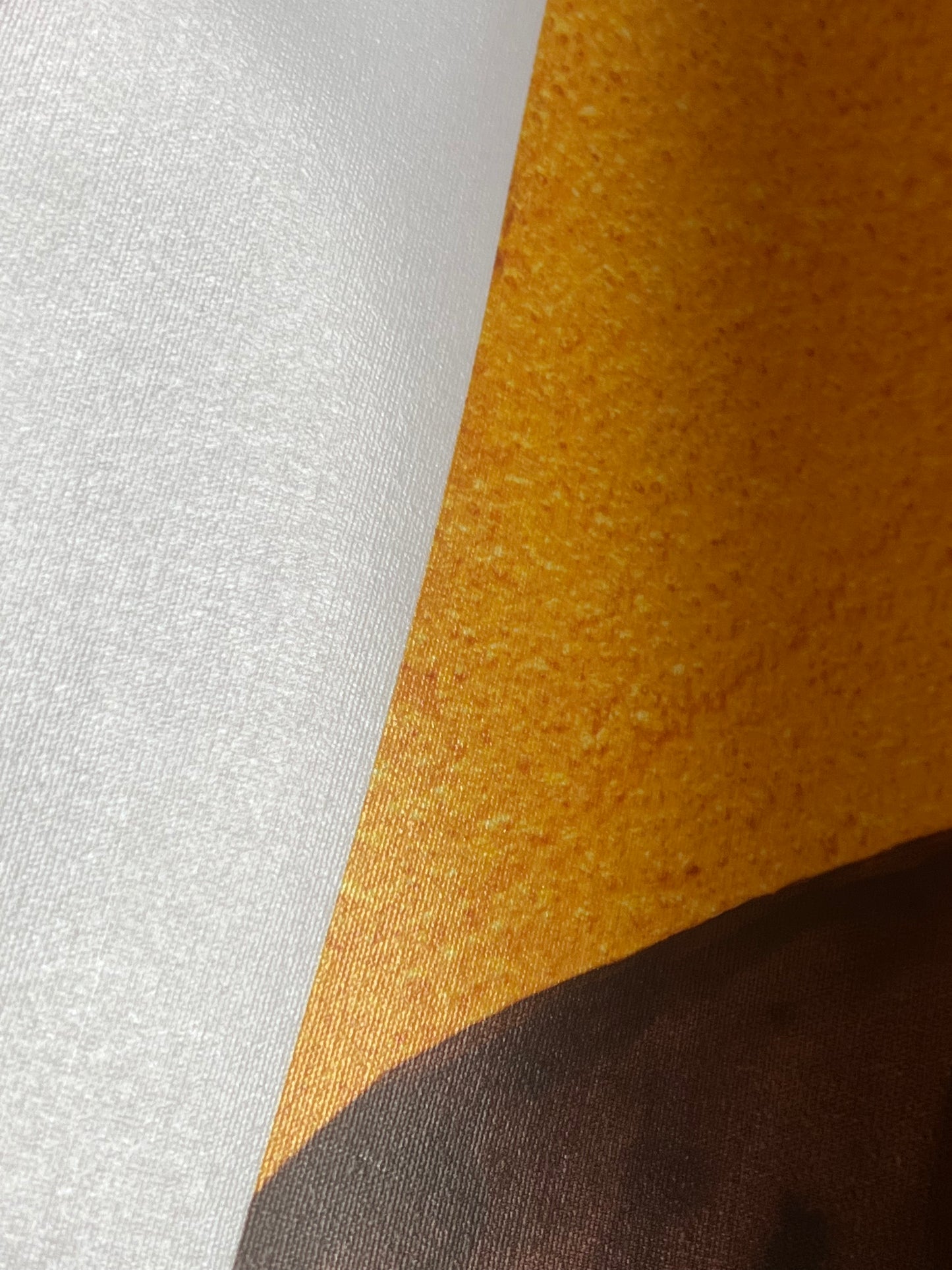 Elegance Print on Rolled Canvas