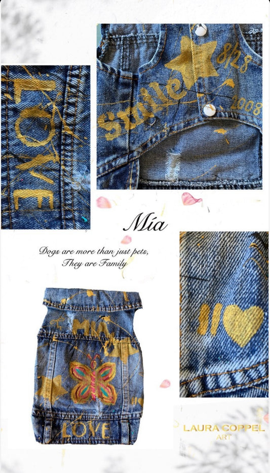 Custom Denim Felicity Pet Vest